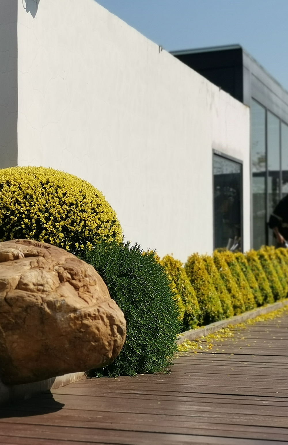 元一科技屋頂花園