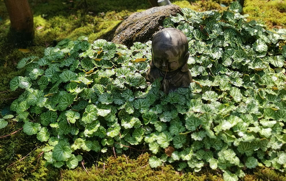 卡納湖谷別墅花園