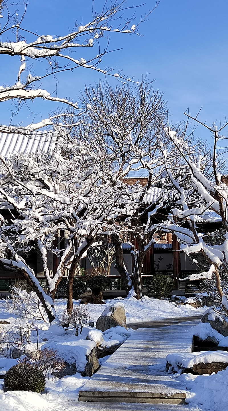 北京藝術(shù)館