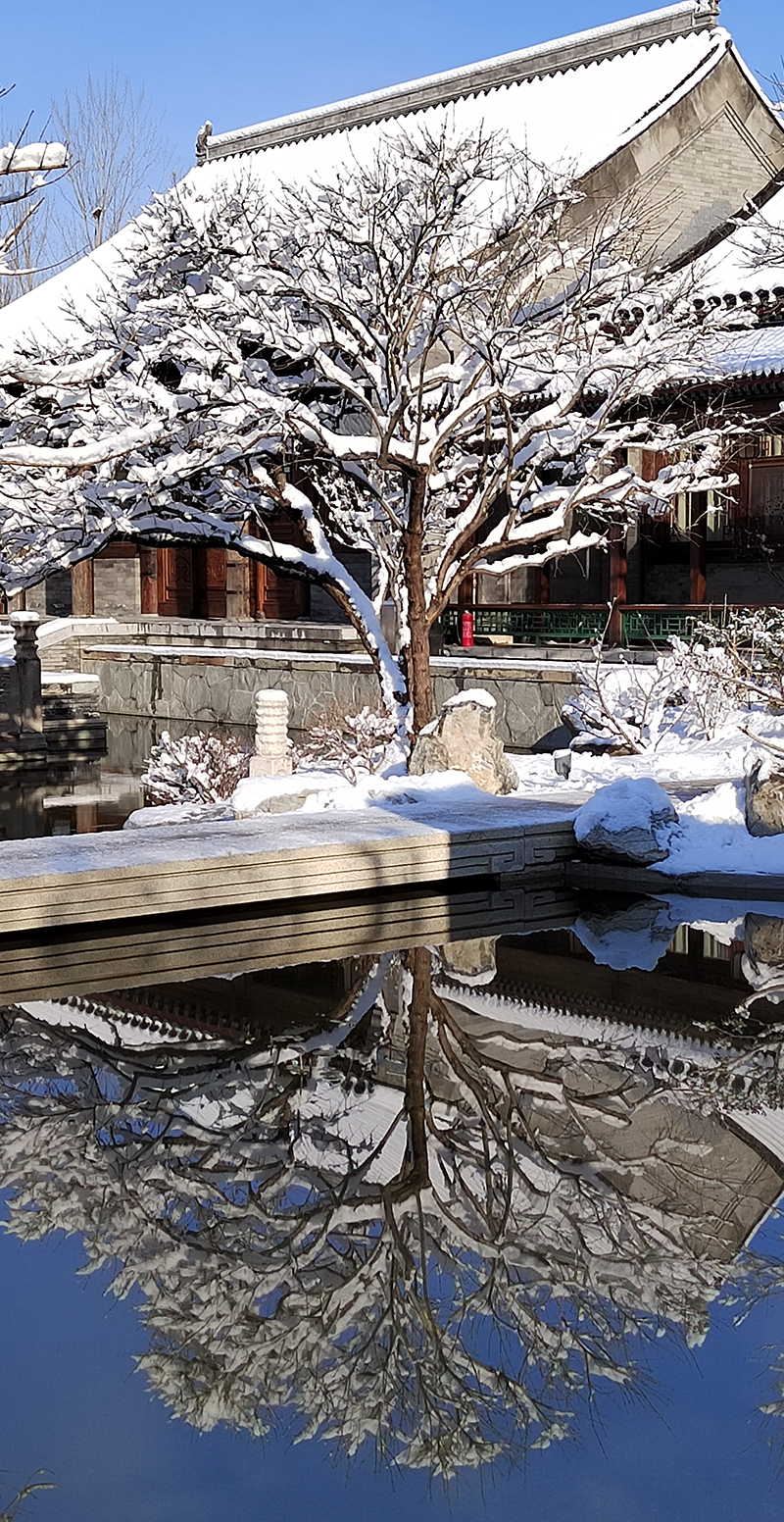 北京藝術(shù)館