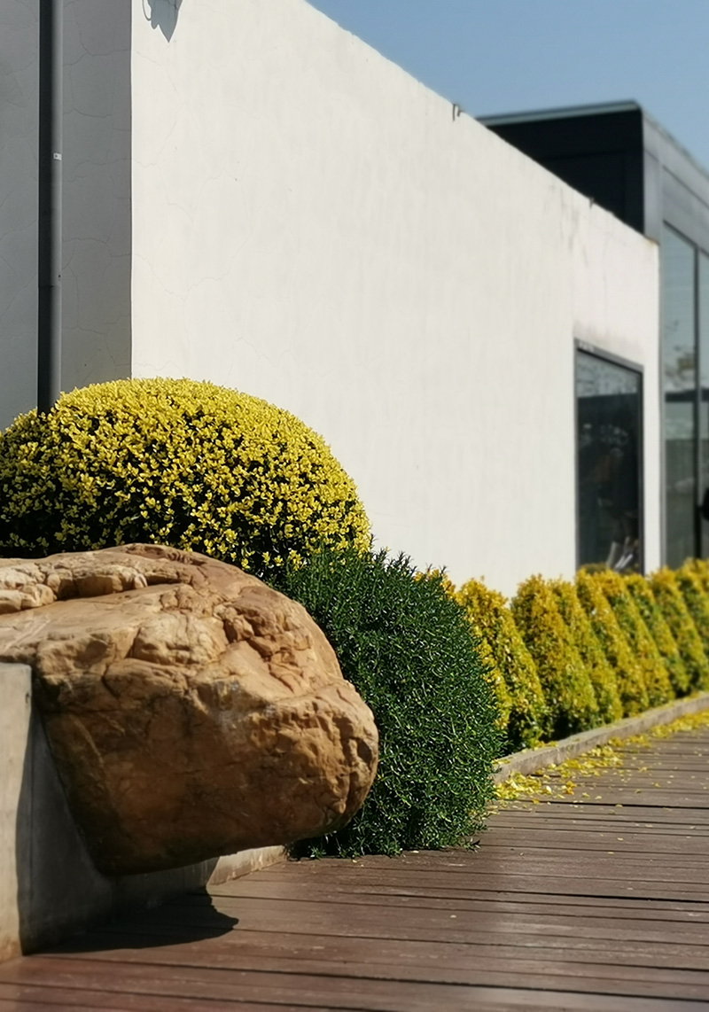 元一科技屋頂花園